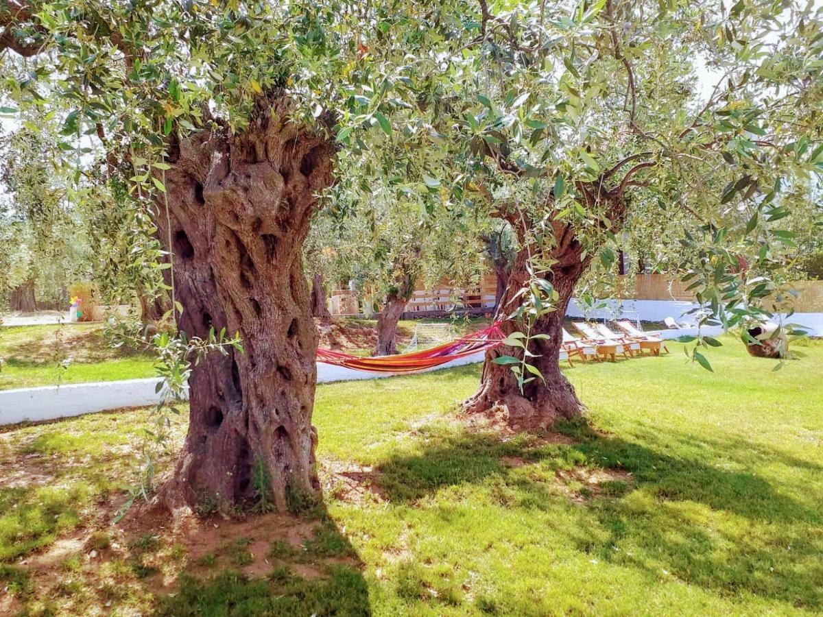 Villa Vista Al Mar Skála Kallirákhis 외부 사진